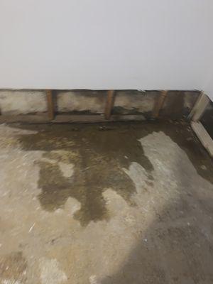 Leak in basement