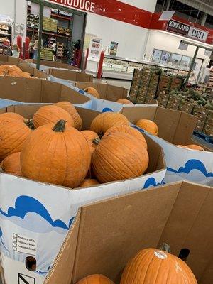 Inexpensive pumpkins: $5.99 each