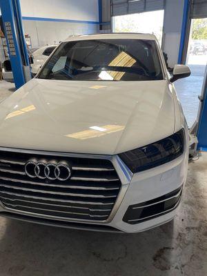 WV / Audi Specialists