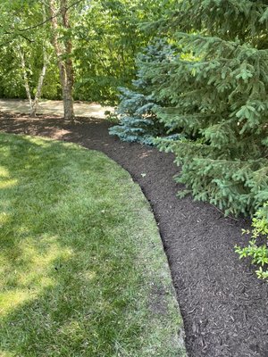 After of cleanup and mulch job