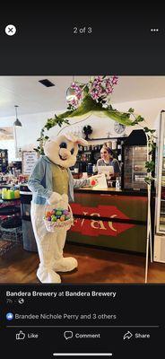 Easter bunny with Bandera Brewery