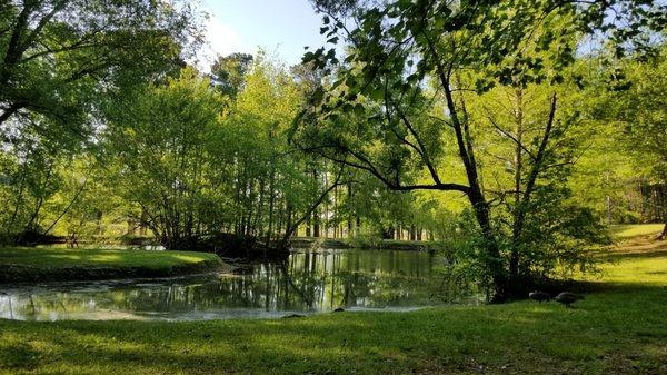 Jaycee Park, located near the Bowman Museum in Alabama.