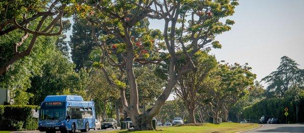 Santa Monica slide show