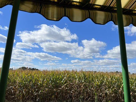 View from the tractor ride