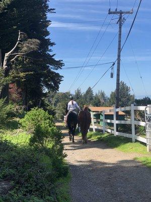 Small trails around the property