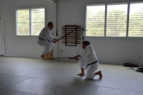 Kauai Aikido Seminar 2014