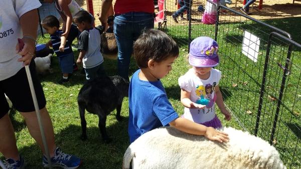 Farm Animal Day at the Preschool