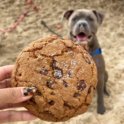 Sea salt chocolate chip cookie and a cutie TANK!