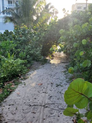 singer Island beach