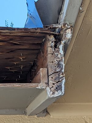 This is the rotting wood that they put new shingles on