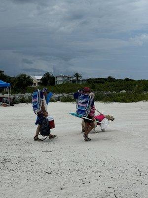 These people didn't pick up their dog's shit, they just covered it with sand and left