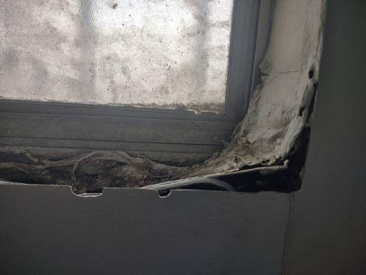 Mold in bathroom window they refuse to repair