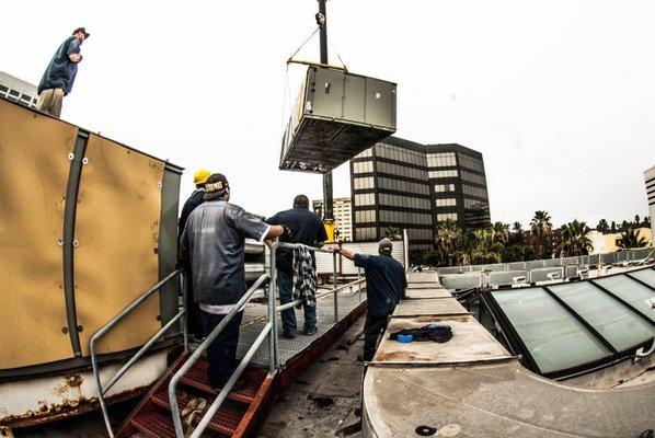 A Large Rooftop Installation