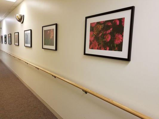 The hallway to relief (and sometimes pain!)