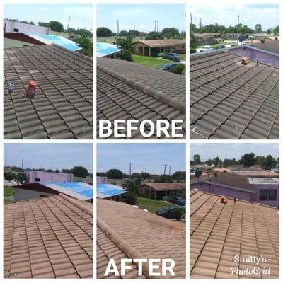 Some pictures of our tile roof cleaning