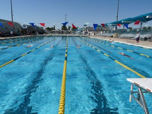 Olympic-size pool.