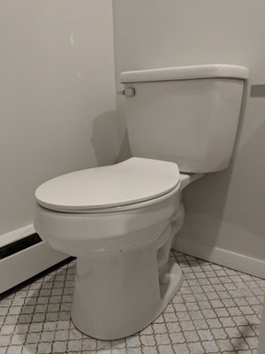 Inexpensive two-piece toilet w/good ratings from lowes was installed. The old one had to be cut off but it was worth it.