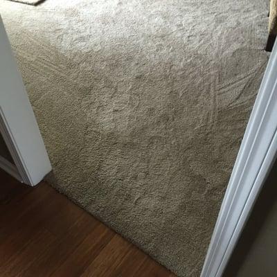 Carpet