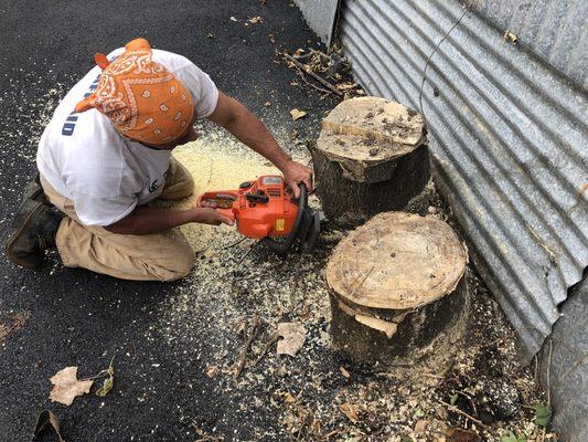 Bayonne Landscaping