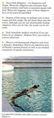 Alligator info (2 of 2)