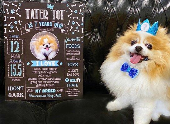 It's my Barkday Motherpuppers! - Tater Tot (Thank you, Bill!)