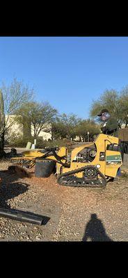 Grinding a large stump with the @vermeerequipment