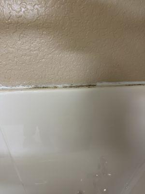 Mold on shower surround