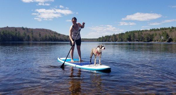 Paddleboard lake Winnipesaukee