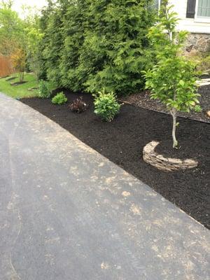 Mulch installation