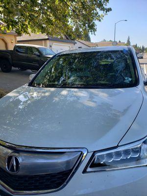 Napa Auto Glass