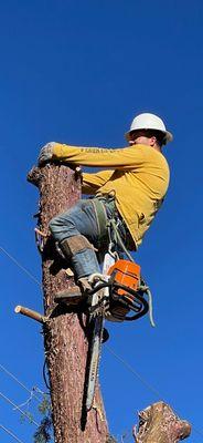 Yard Work
 Tree Services
 Arborist
 Tree Removals