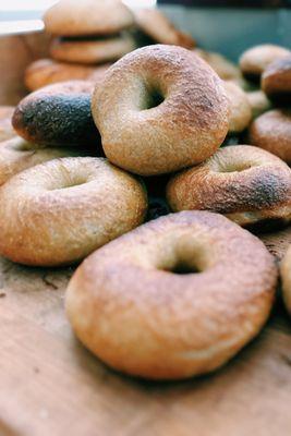 Sourdough Bagels