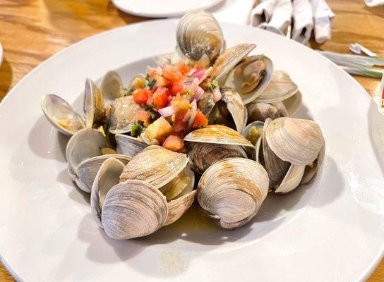 Steamers: Clams