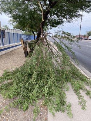 REMOVED THIS BRANCH