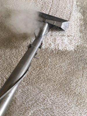 One can see from the steam how hot and dry we clean the carpet