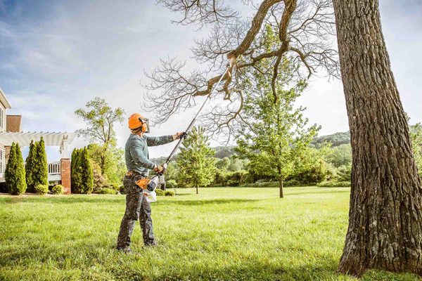 Tree Trimming Service