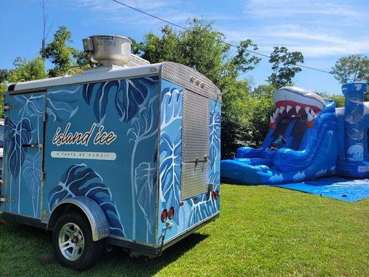 Island Ice Food Truck at a birthday party