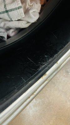 Hair in the washing machine. This will be all over your clothes.