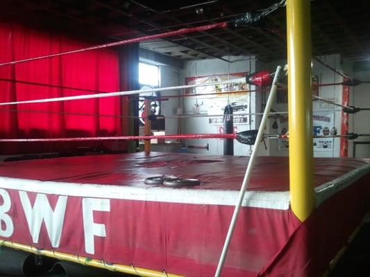 Wrestling ring