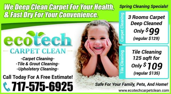 Ecotech Carpet Clean