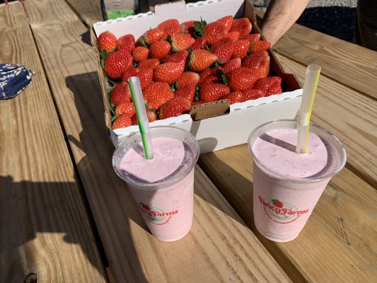 Strawberries and strawberry milkshake