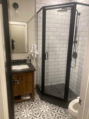 Pool bath with subway and penny tiles, leathered granite counter top, custom vanity Kohler sink/toilet/shower rail system w rain-head