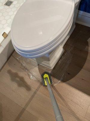 Toilet edges brushing with water and soap detergent.