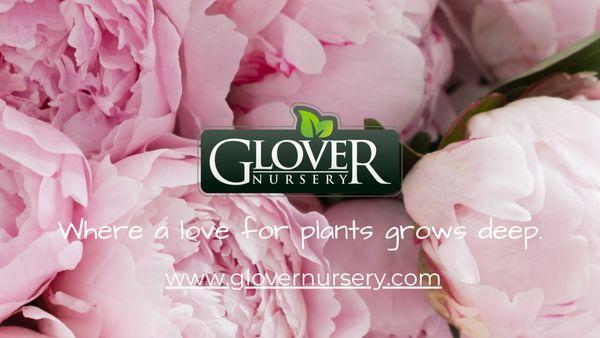 Glover Nursery