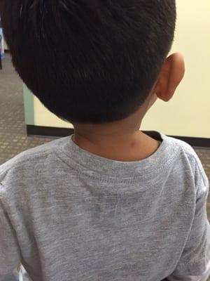 The back of my 2 year olds head