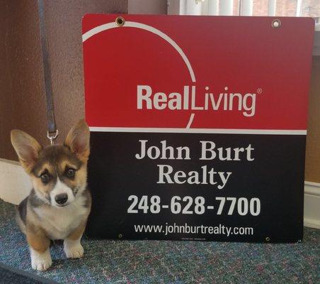 Karly Ayers - Real Living John Burt Realty