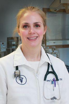 Dr. Amy Waggoner, DVM MS, CVA