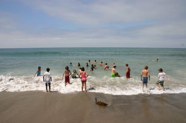 Beach Trips