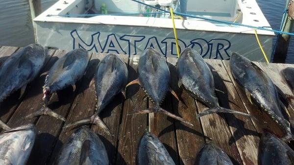 Matador Sportfishing Charters