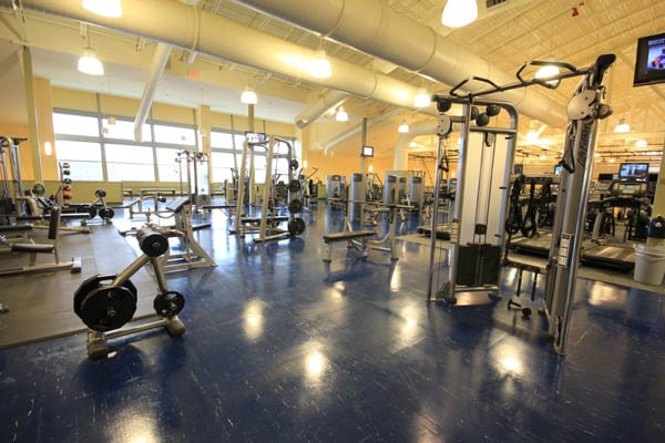 Fitness Floor free weight area